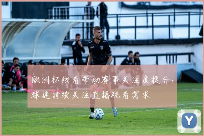 欧洲杯线看带动赛事关注度提升,球迷持续关注直播观看需求