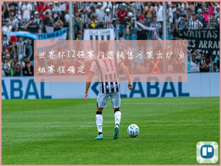 世界杯12强赛门票销售方案出炉 分组赛程确定