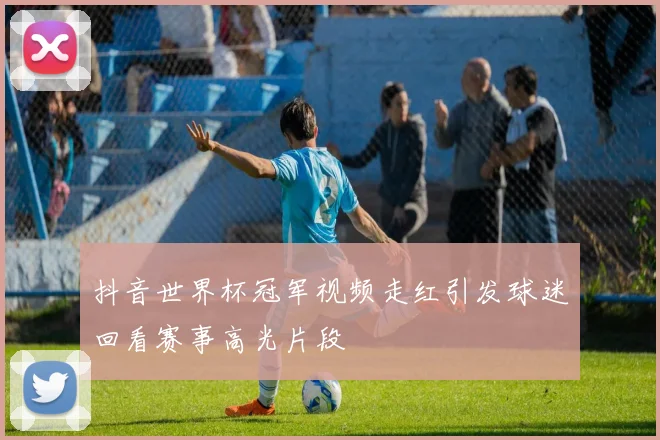 抖音世界杯冠军视频走红引发球迷回看赛事高光片段