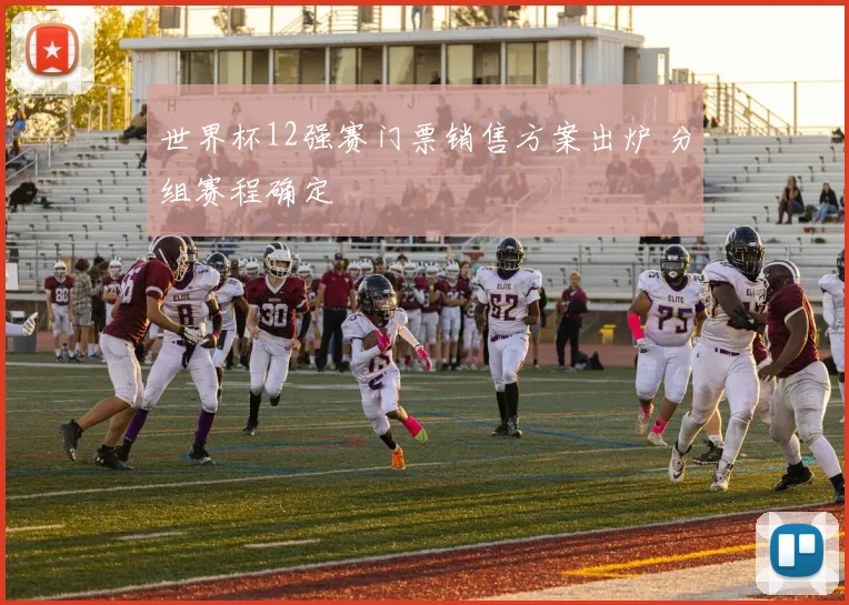 世界杯12强赛门票销售方案出炉 分组赛程确定