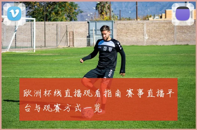 欧洲杯线直播观看指南 赛事直播平台与观赛方式一览