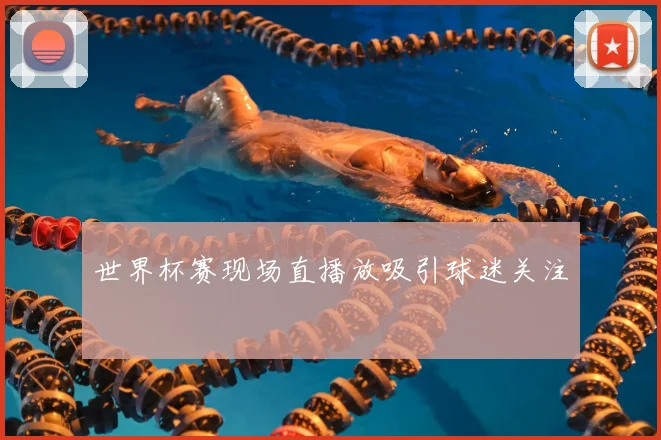 世界杯赛现场直播放吸引球迷关注
