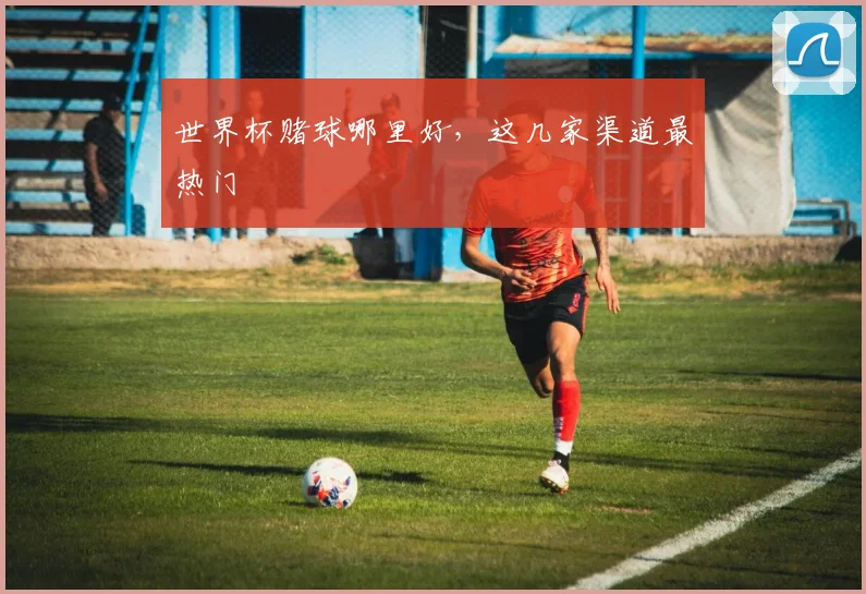 世界杯赌球哪里好，这几家渠道最热门