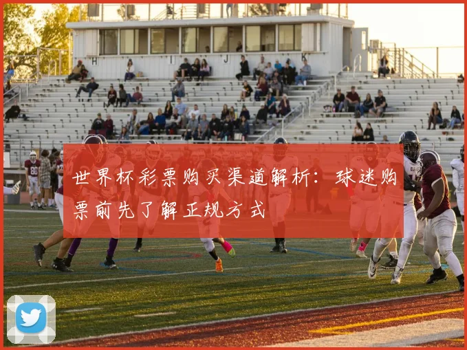 世界杯彩票购买渠道解析：球迷购票前先了解正规方式
