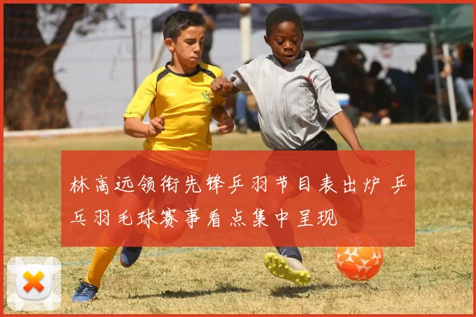 林高远领衔先锋乒羽节目表出炉 乒乓羽毛球赛事看点集中呈现